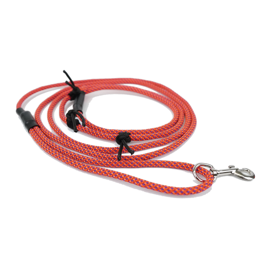 The Leash - Red